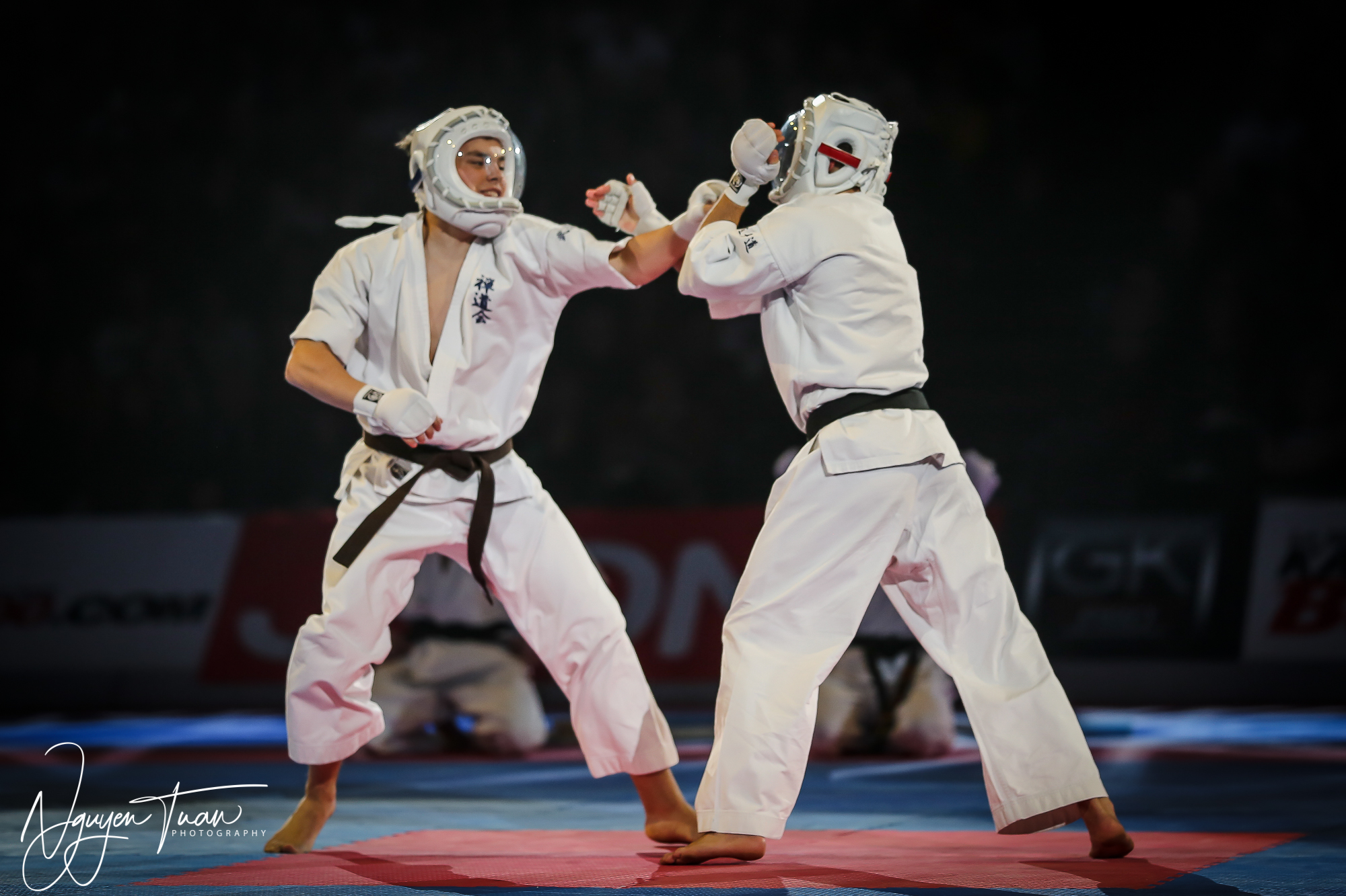 20190324 Festival des Arts Martiaux 3137